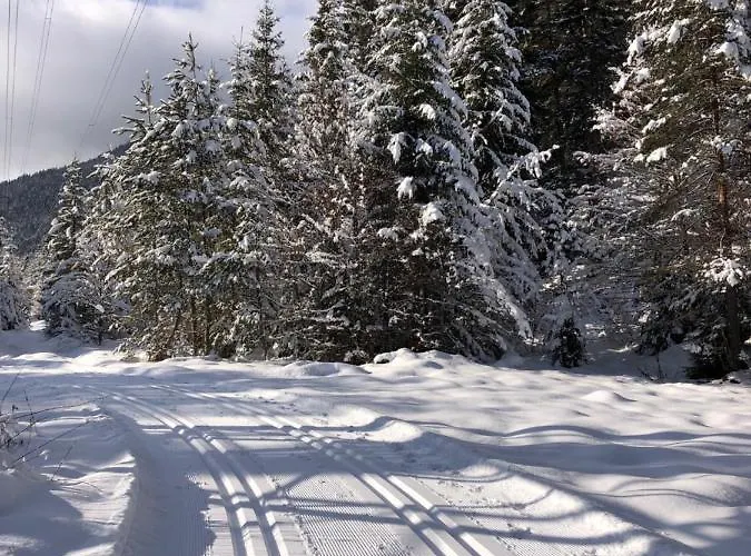 Kronenhotel 3* ゼーフェルト・イン・チロル